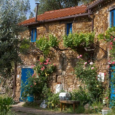 Guest Room Agro-Turismo Quinta Da Fonte Bed&Breakfast Figueiro Dos Vinhos Exterior photo