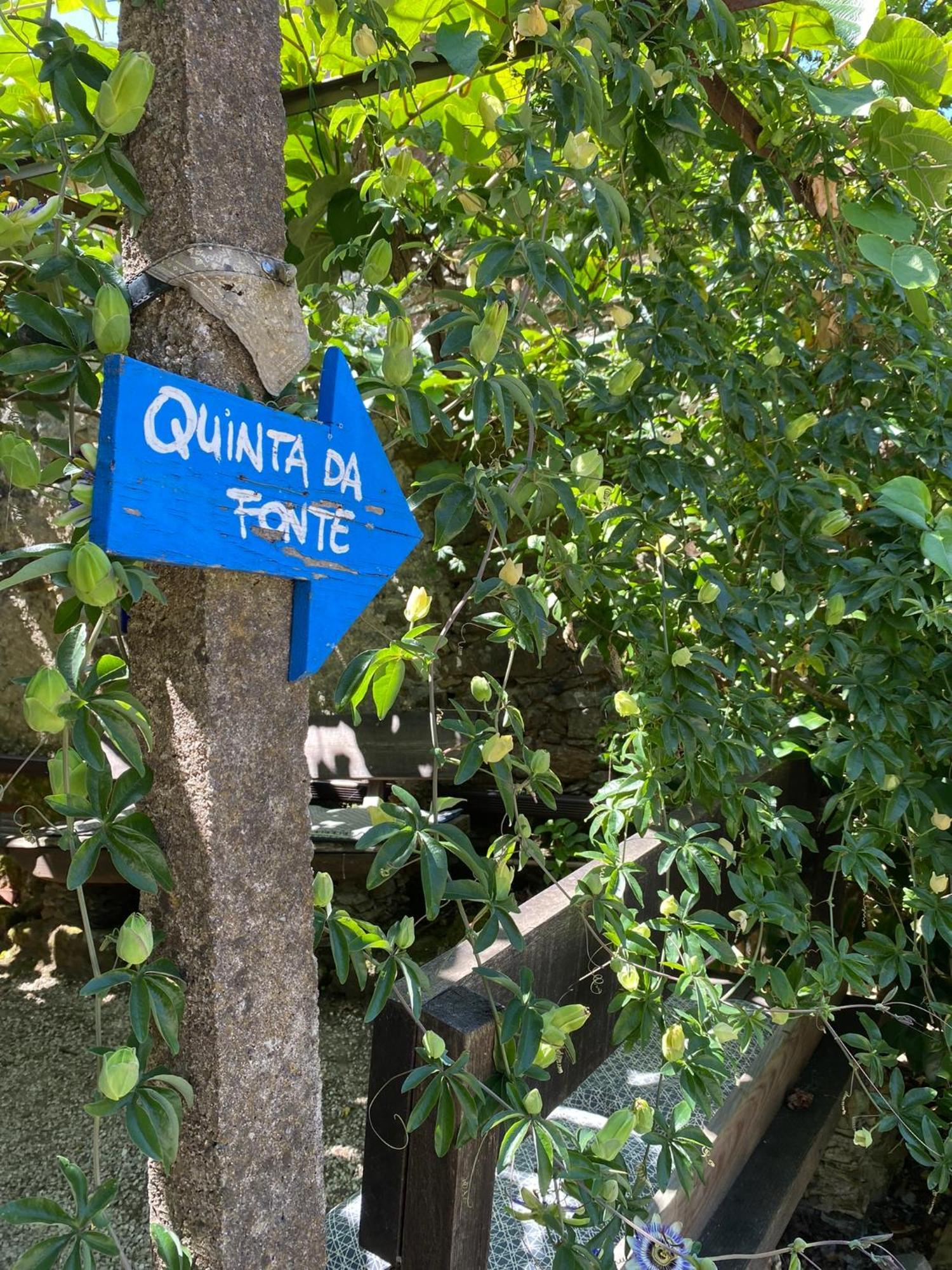 Guest Room Agro-Turismo Quinta Da Fonte Bed&Breakfast Figueiro Dos Vinhos Exterior photo