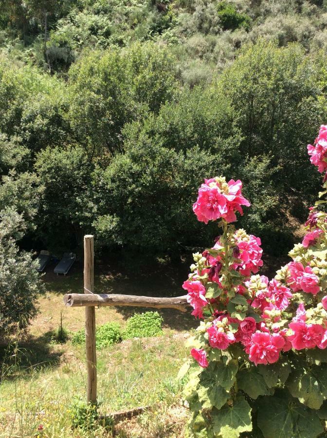 Guest Room Agro-Turismo Quinta Da Fonte Bed&Breakfast Figueiro Dos Vinhos Exterior photo