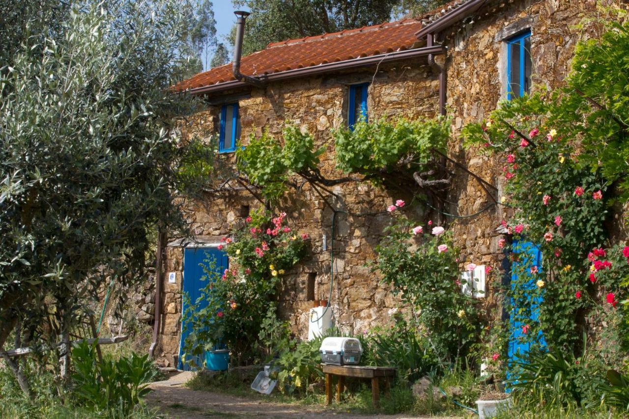 Guest Room Agro-Turismo Quinta Da Fonte Bed&Breakfast Figueiro Dos Vinhos Exterior photo